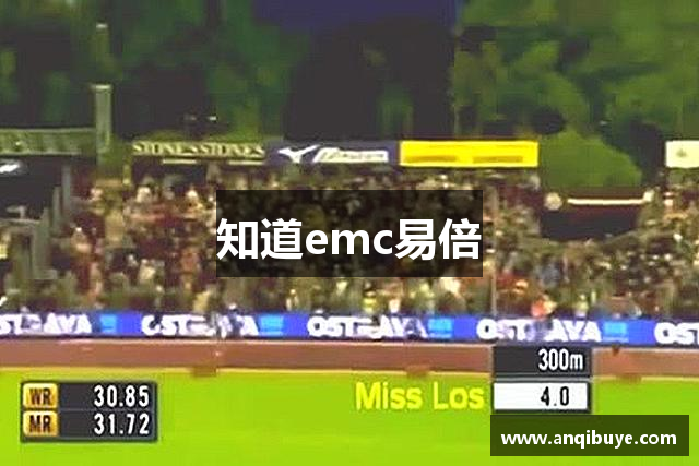 知道emc易倍